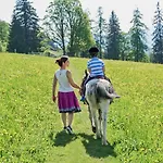 Farm stay Ramsbergerhof Ramsau am Dachstein