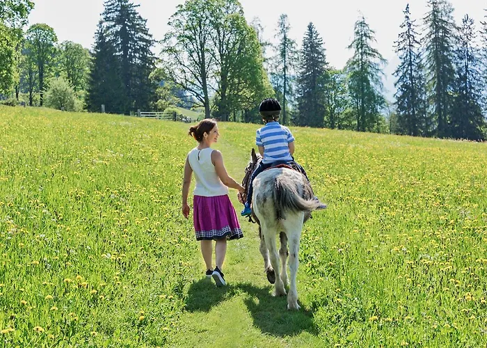Alloggio per agriturismo Ramsbergerhof Ramsau am Dachstein